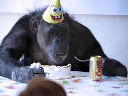 A monkey gets older... and older... | Page 2