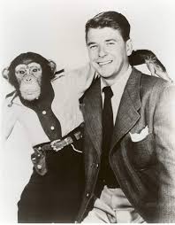 Amazon.com: Ronald Reagan Photo Hollywood Movie Star Photos 8x10: Photographs: Photographs